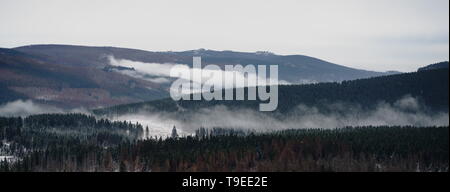 Nebel über dem Wald im späten Herbst. Mystische Landschaft Panorama der Wildnis im Harz, Harz National Park, Northern zentrale Deutschland. Stockfoto