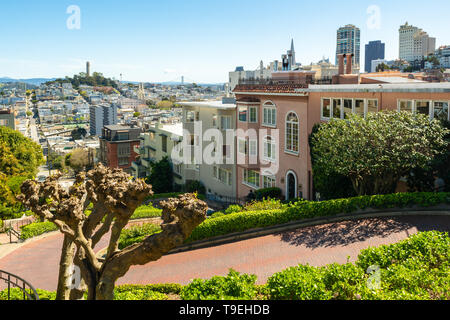 Blick auf San Francisco fotografiert von der berühmten Lombard Street. Kalifornien, USA Stockfoto