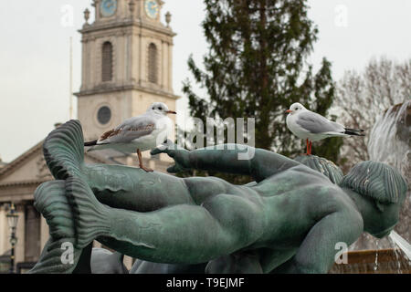 Vögel auf Statue auf dem Trafalgar Square Stockfoto