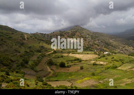 Kleinen Ackerbau in den Hügeln von Kreta in der Nähe von melambes Stockfoto