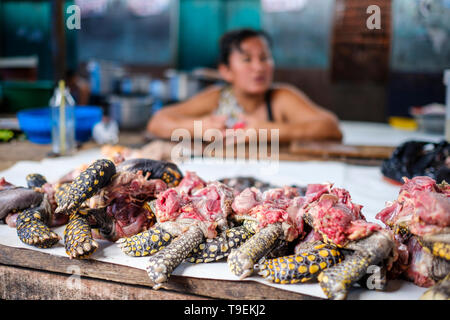 Turtle Fleisch zum Verkauf Tierwelt Metzger' Stall bei Belen Markt oder Mercado Belén auf Iquitos im Peruanischen Amazonas, Provinz Maynas, Loreto Region, Peru Stockfoto