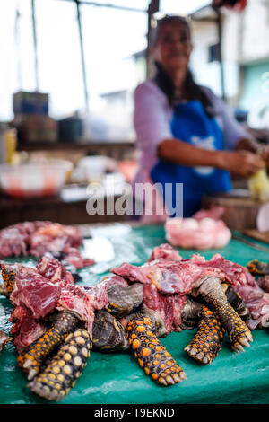 Turtle Fleisch zum Verkauf Tierwelt Metzger' Stall bei Belen Markt oder Mercado Belén auf Iquitos im Peruanischen Amazonas, Provinz Maynas, Loreto Region, Peru Stockfoto