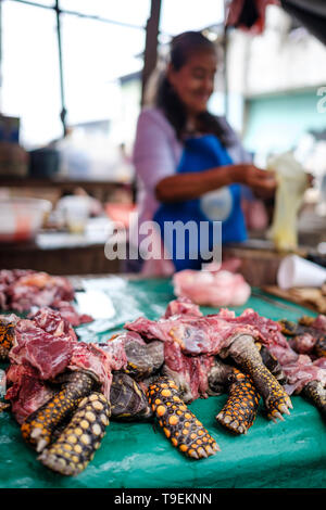 Turtle Fleisch zum Verkauf Tierwelt Metzger' Stall bei Belen Markt oder Mercado Belén auf Iquitos im Peruanischen Amazonas, Provinz Maynas, Loreto Region, Peru Stockfoto