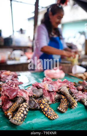 Turtle Fleisch zum Verkauf Tierwelt Metzger' Stall bei Belen Markt oder Mercado Belén auf Iquitos im Peruanischen Amazonas, Provinz Maynas, Loreto Region, Peru Stockfoto