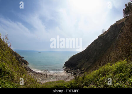 Coleton Fishacre ist ein Anwesen, bestehend aus einem 24-Hektar großen Garten und ein Haus, hat die Eigenschaft, im Besitz des National Trust seit 1982. Stockfoto