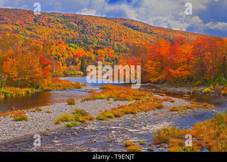 Der Fluss und die Acadian Wald im Herbst Laub North River Neuschottland Kanada Stockfoto