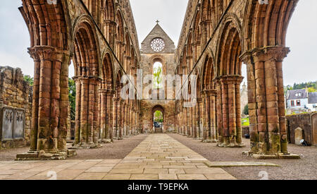 Jedburgh Abbey in den Scottish Borders, Schottland Stockfoto