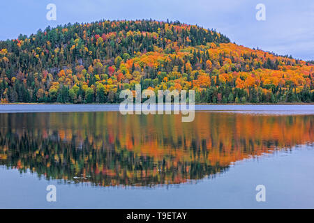 Herbstfarben im Lac Wapizagonke wider n der Laurentian Mountains. Region der Grossen Seen - St. Lawrence Wald Region. La Mauricie Nationalpark Quebec Kanada Stockfoto