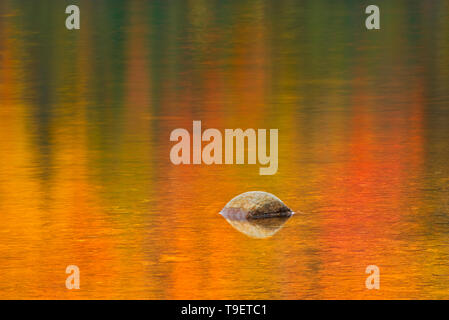 Rock- und Herbstfarben im Lac Wapizagonke, Great Lakes - St. Lawrence Wald Region, La Mauricie Nationalpark, Quebec, Kanada wider Stockfoto