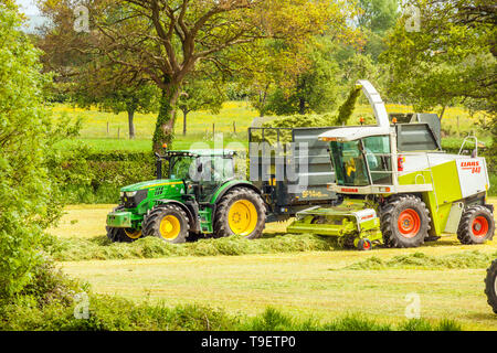 Bauer fahren Traktor und Anhänger neben einem feldhäcksler Schneiden von Gras für Silage in Cheshire Ackerland England Großbritannien Stockfoto