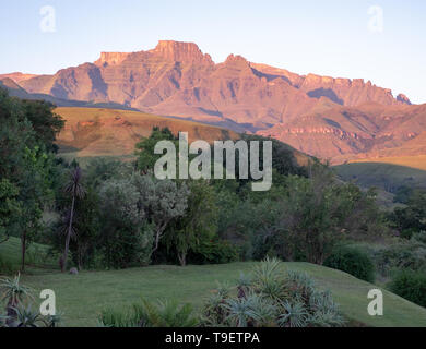 Champagne Castle, Cathkin Peak und der Mönch Armaturenwand, Teil der zentralen Drakensberge, Südafrika. Bei Sonnenaufgang fotografiert. Stockfoto