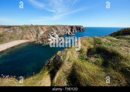 Bullers von Buchan, Seeklippen, arch und Geo, mit nistenden Vögel. Stockfoto