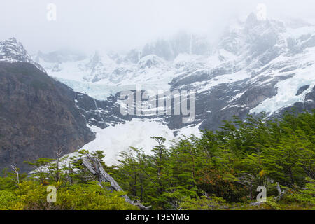 Französischen Blick auf das Tal, Torres del Paine Nationalpark, Chile. Französische Gletscher. Chilenischen Patagonien Stockfoto