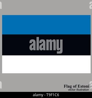 Banner mit Flagge von Estland. Bunte Illustrationen mit Fahne für Web Design. Stock Vektor