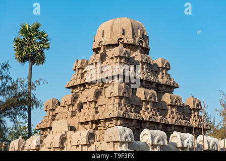 Dharmaraja Ratha Denkmal, Pancha Rathas (fünf Rathas), Mahabalipuram (mamallapuram), Indien Stockfoto