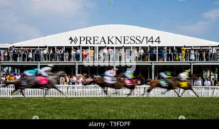 Baltimore, Maryland, USA. 17 Mai, 2019. 18. Mai: Das Feld für die Gallorette Rennen am Pimlico Rennbahn in Baltimore, Maryland am 18. Mai 2019. Evers/Eclipse Sportswire/CSM/Alamy leben Nachrichten Stockfoto