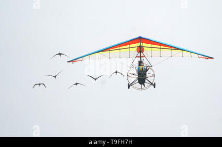 Peking, China. 18 Mai, 2019. Foto am 18. Mai 2019 zeigt die akrobatischen Leistung während der Eröffnungsfeier der Welt Fliegen-in-Expo in Wuhan, Zentralchina Provinz Hubei. Credit: Cheng Min/Xinhua/Alamy leben Nachrichten Stockfoto