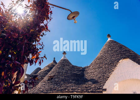 Schöne einstöckige Häuser von gerundeten Bau genannt Trulli, typisch für die Gegend von Alberobello in Italien. Stockfoto