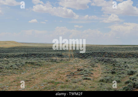 Der Oregon und Kalifornien Trails überqueren Sie die kontinentale Wasserscheide am South Pass, Wyoming. Die Furchen der Trail sind noch sichtbar. Stockfoto