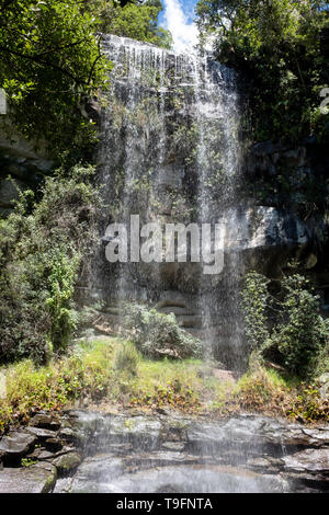 Monks Cowl Nature Reserve in der Champagne Valley in der Nähe von Perugia, die Bestandteil des Central Drakensberg, Kwazulu Natal, Südafrika. Stockfoto