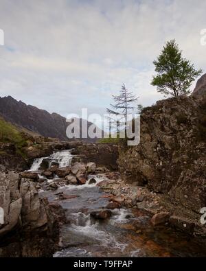 Diese sind eine kleine Gruppe von fällt auf den Fluss Coe an der Spitze von Glencoe. Der Schuß sieht bis zu dem aonach eagach Ridge in der Ferne. Stockfoto