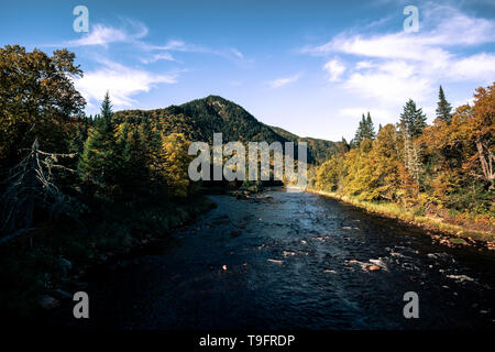 Fluss im Herbst im Nationalpark von Jacques Cartier, Quebec, Kanada. Niemand Stockfoto