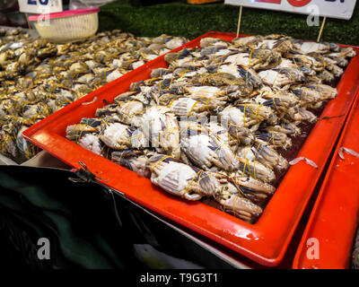 Pu Dong werden aus frischen Krabben in fermentierte Fischsauce im Markt verkauft getränkt, Thai Food Stockfoto
