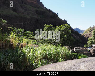 Gepflasterte Straße in Xo-Xo Tal auf Santo Antao Insel in Kap Verde Landschaften mit wachsenden auf Kaskaden und klaren blauen Himmel in warmen und sonnigen Frühling 2019 Stockfoto