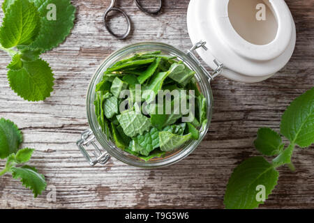 Vorbereitung einer hausgemachten Kräuter Sirup gegen Erkältung aus Silber spurflower, Ansicht von oben Stockfoto