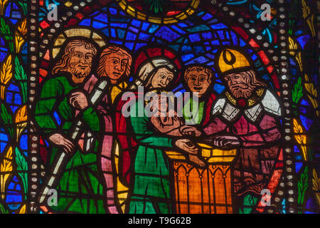 Ein Buntglasfenster aus dem 16. Jahrhundert, das die Beschneidung Christi darstellt. Kathedrale von Leon. Castilla y Leon. Spanien Stockfoto