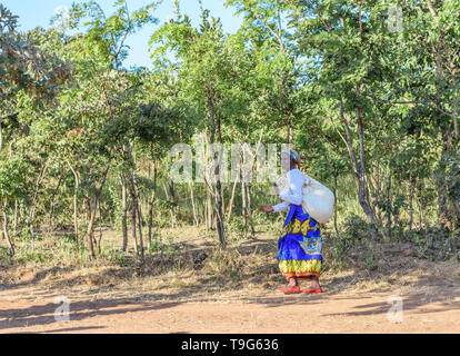 Eine malawische Frau geht durch ein Waldgebiet in Malawi mit einem Sack über die Schulter Stockfoto