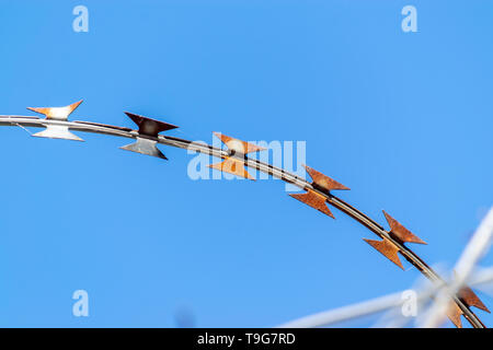 Details von Barb Drähte an einem sonnigen Tag Stockfoto