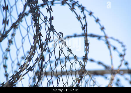 Details von Barb Drähte an einem sonnigen Tag Stockfoto