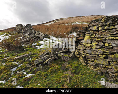 Landschaft in langen Sleddale Cumbria, England, UK mit gebrochenen Trockenmauer in Flechten bedeckt, über dem Tal und Schnee auf die fernen Hügel Stockfoto