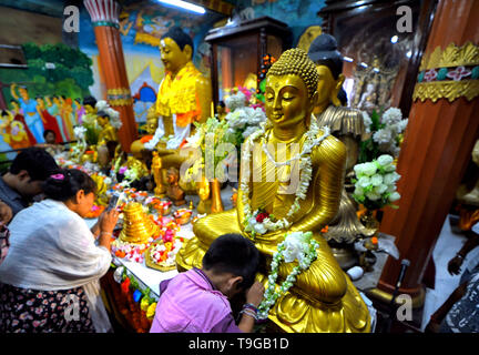 Ein kleines Kind gesehen Beten vor einer Statue des Buddha Der Buddha Purnima Gebete. Buddhas Geburtstag ist ein Feiertag traditionell feierte in den meisten Ostasien die Geburt der Prinz Siddhartha Gautama oder Gautama Buddha, ist der Gründer des Buddhismus zu gedenken. Stockfoto