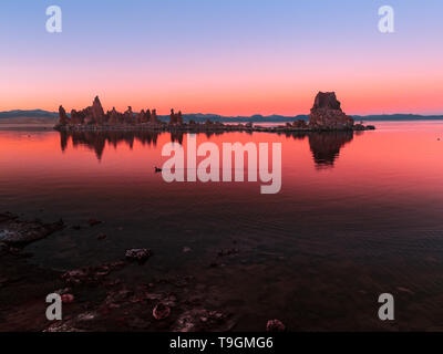 Ein Vogel schwimmt auf der Oberfläche einer ruhigen See in leuchtenden Sonnenuntergang Stockfoto