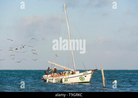 Segeln Touren auf Caye Caulker, Belize Stockfoto