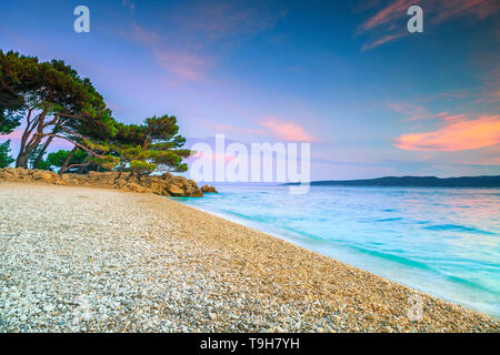 Schönen Strand am Mittelmeer mit Pinien und kristallklarem Wasser bei Sonnenuntergang. Sommer Urlaub und Kies Strand Konzept, Brela, Makarska rivie Stockfoto