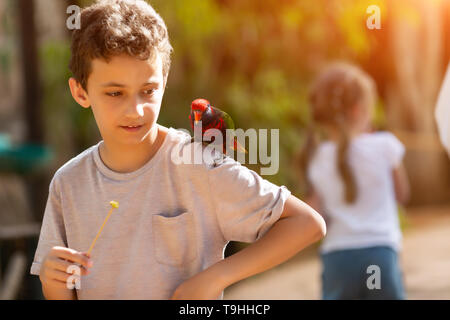 Teenager boy im Zoo füttern ara Papageien sitzen auf seiner Schulter Stockfoto