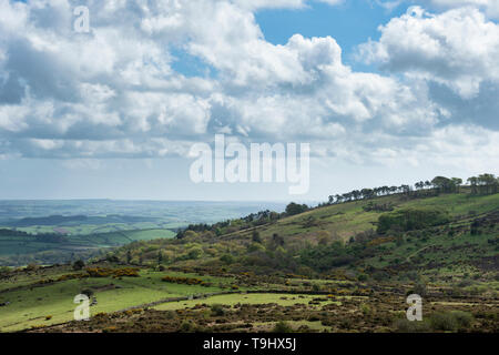 Schönen Frühling Landschaft Bild der Blick von Haytor in Dartmoor Nationalpark in Devon, England am schönen sonnigen Frühlingstag Stockfoto