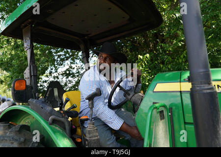 (190519) -- BASKERVILLE, 19. Mai 2019 (Xinhua) - John Boyd Jr. fährt ein Traktor auf seiner Farm in Baskerville, Virginia, USA, am 15. Mai 2019. John Boyd jr., vierte Generation der Betriebsinhaber in dem US-Bundesstaat Virginia, hat nur etwa ein Viertel seines Sojabohnenernte so weit in diesem Jahr gepflanzt. "Ich besorgt bin Teil und Teil frustriert und ich bin sehr enttäuscht", sagte er. An seinem Hof der Familie in Baskerville, südlichen Virginia, Boyd erklärte Xinhua Anfang dieser Woche, dass die Bepflanzung Fenster schließen für seine Sojabohnen. "Wenn meine Ernte wird nicht einen Monat ab jetzt gepflanzt... dann ist alles über fo Stockfoto