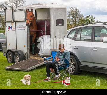 Bandon, Cork, Irland. 19 Mai, 2019. Patrick O'Connell, Killarney mit seinen Hunden Meena und Daisy mit Jake das Pferd in der Landwirtschaft zeigen, dass in Bandon, Co Cork, Irland Quelle: David Creedon/Alamy Leben Nachrichten gehalten wurde Stockfoto