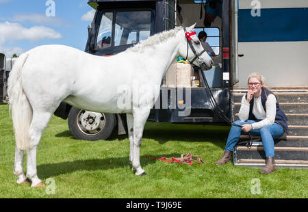 Bandon, Cork, Irland. 19 Mai, 2019. Deirdre Burchill von Castlehaven mit ihrer Show Pony Silber an der Landwirtschaft zeigen, dass in Bandon, Co Cork, Irland, statt. Quelle: David Creedon/Alamy leben Nachrichten Stockfoto