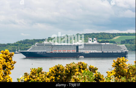 Firth-of-Forth, Schottland, Großbritannien. 19. Mai 2019. Holland American Line ms Zuiderdam, ein Vista klasse Kreuzfahrtschiff, Anker in die Forth River für den Tag in der Nähe von South Queensferry. Es ist auf der 24-tägigen Tour. Fluggäste Shuttle hin und zurück auf der startet die Stadt am Meer zu besuchen Stockfoto