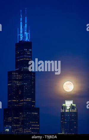 Chicago, Illinois, USA. 18 Mai, 2019. - Erhebt sich eine seltene ''Blaue Blume Mond'' neben dem Willis (Sears) Turm und über der Krone der 311 South Wacker Gebäude in Chicago, IL. Credit: Csm/Alamy leben Nachrichten Stockfoto