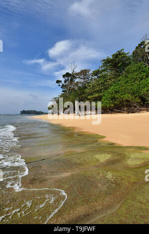 Die Schönsten, exotische Sitapur Strand auf der Andaman an Neil Insel der Andamanen und Nikobaren Inseln, Indien Stockfoto