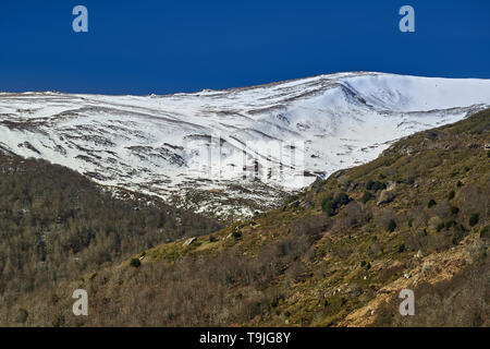 Menschen in Alto Campoo Skifahren ski Resort, Provinz Kantabrien, Spanien Stockfoto