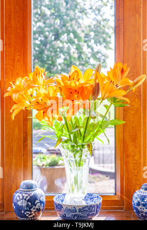 Orange Lilly Blumen mit begrenzten Tiefenschärfe vibrant suchen. Stockfoto