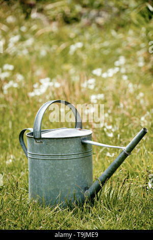 Alten retro Metall Gießkanne im Frühling Wiese Stockfoto