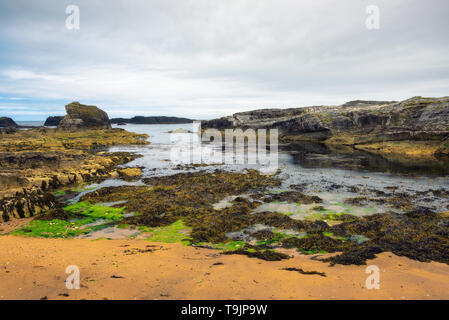 Dramatische Landschaft der Ballintoy Hafen Shoreline in Nordirland Stockfoto